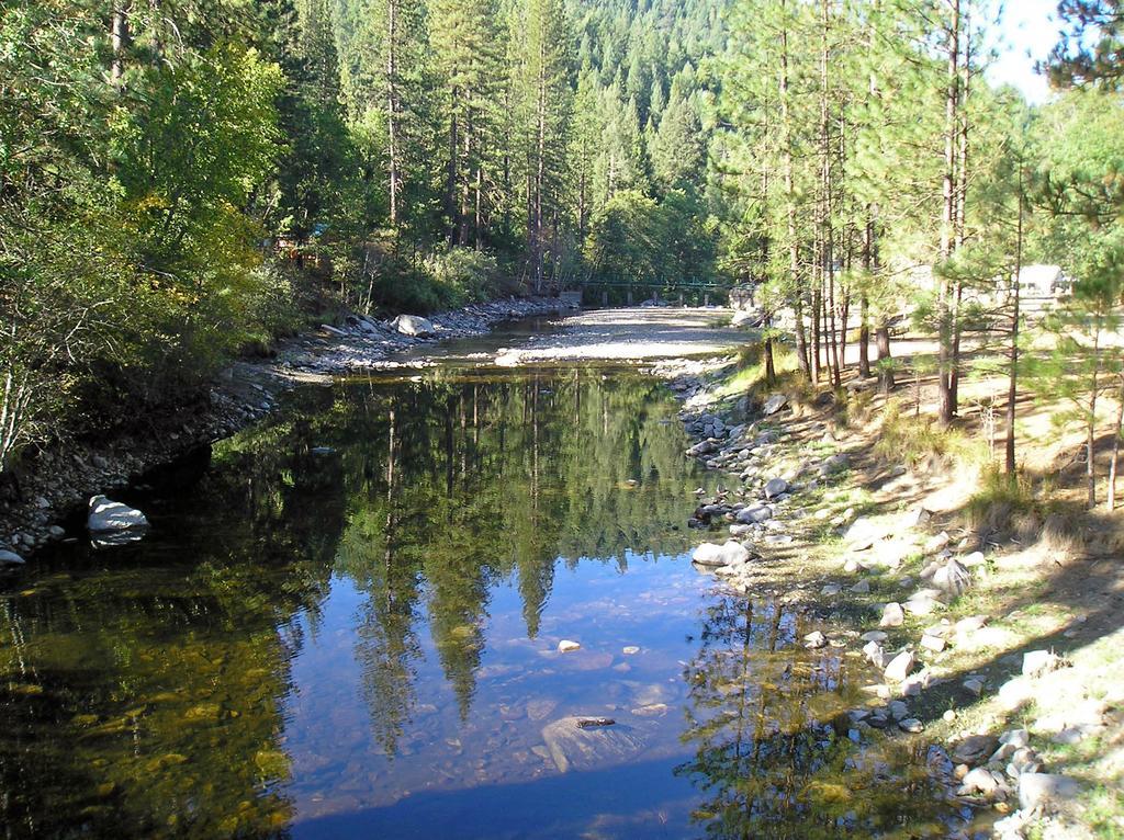 Yosemite Lakes Bunkhouse Cabin 27 Hotel Harden Flat Luaran gambar